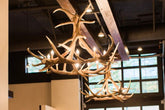 Faux Elk 6 Antler Chandelier Hanging